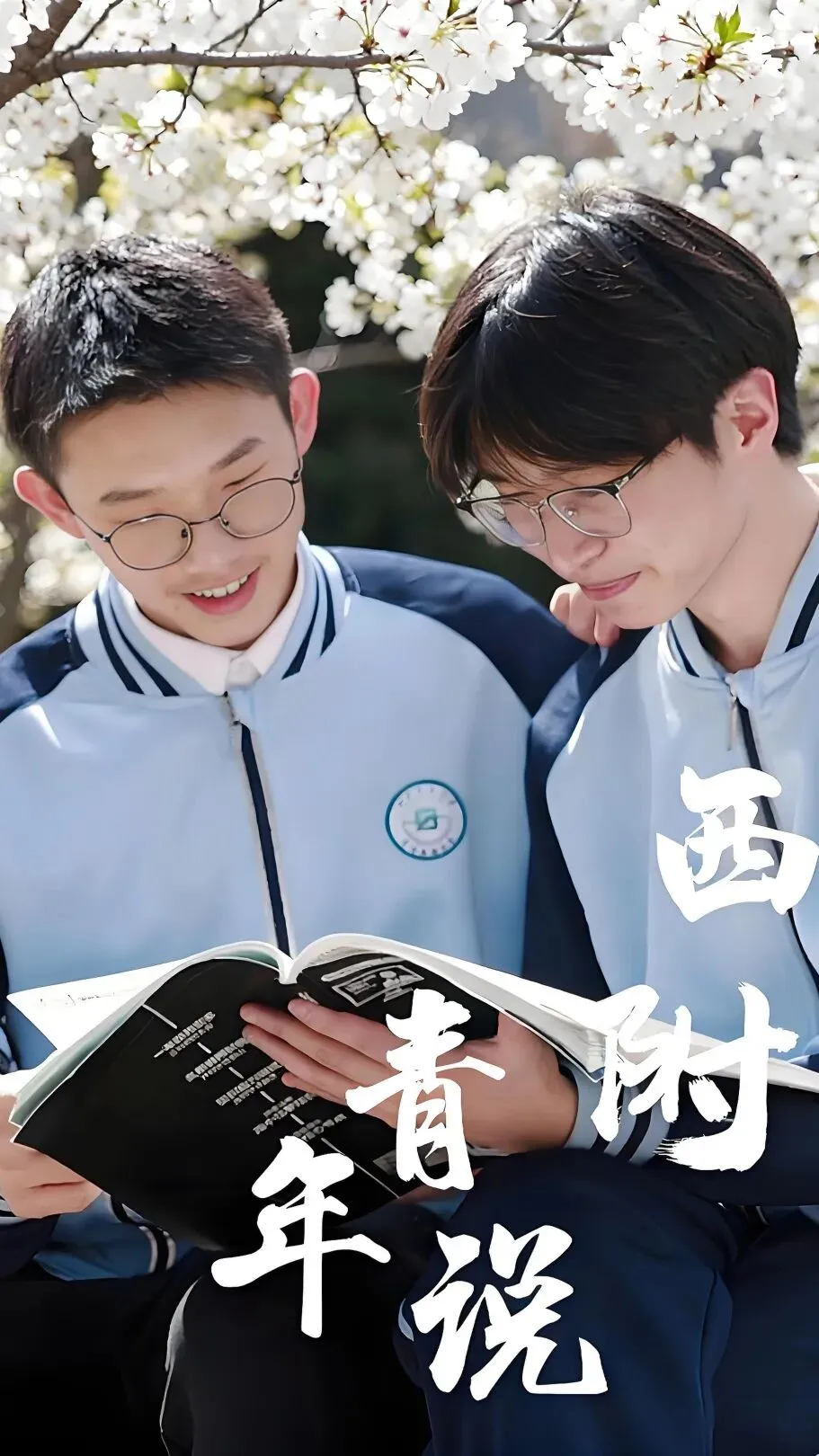 中考升学必看 | 西附DSE融合课程2026年志愿填报说明及英语加试安排-第31张图片-四季读书网 中考升学必看 | 西附DSE融合课程2026年志愿填报说明及英语加试安排-第31张图片-四季读书网