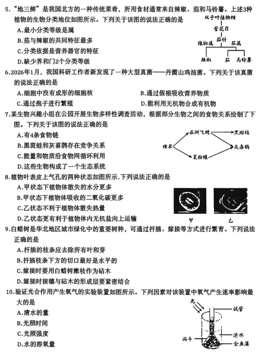 2026山东省统考生物中考真题试卷+参考答案 有pdf文档-第3张图片-四季读书网 2026山东省统考生物中考真题试卷+参考答案 有pdf文档-第3张图片-四季读书网