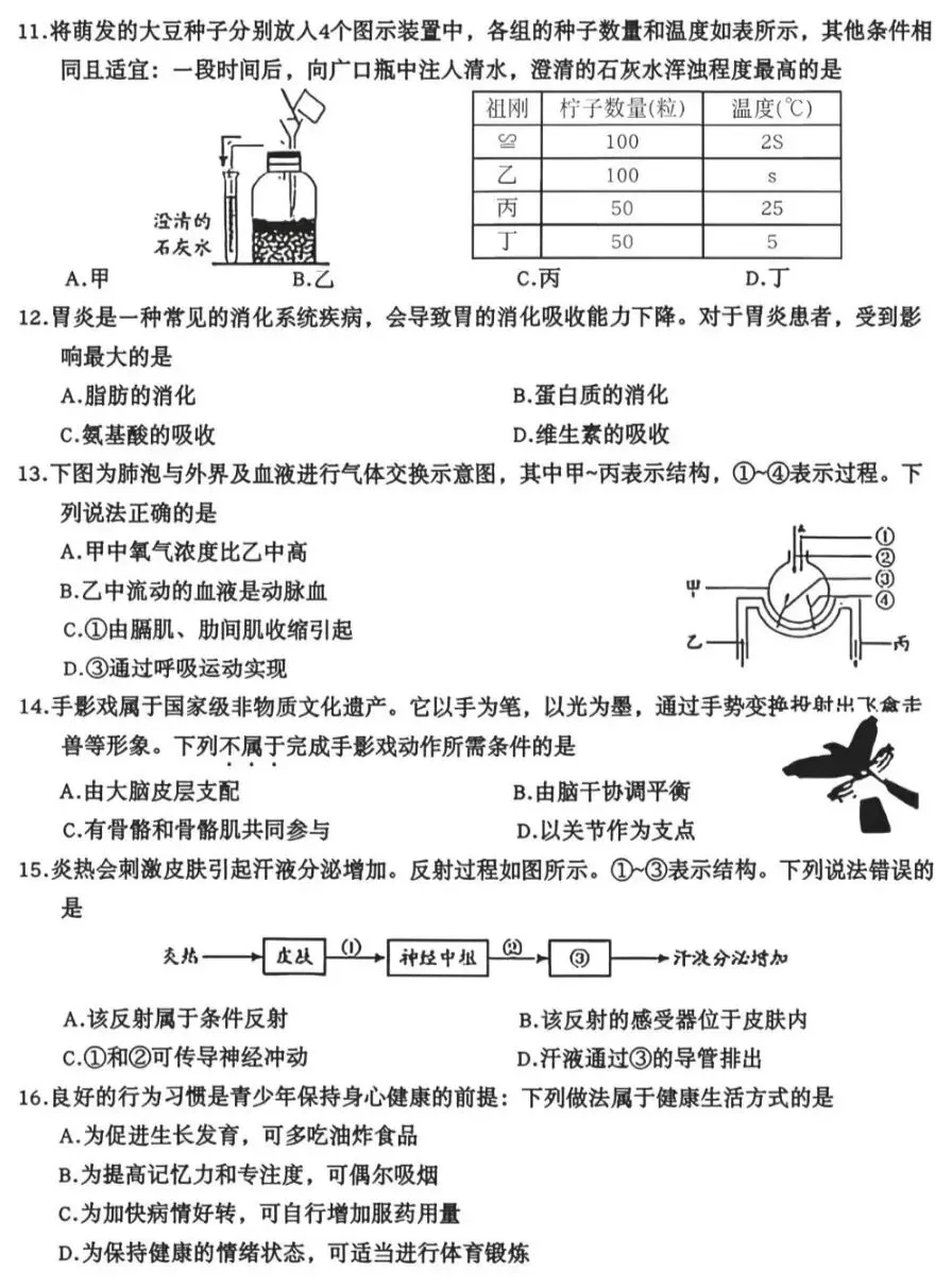 2026山东省统考生物中考真题试卷+参考答案 有pdf文档-第4张图片-四季读书网 2026山东省统考生物中考真题试卷+参考答案 有pdf文档-第4张图片-四季读书网