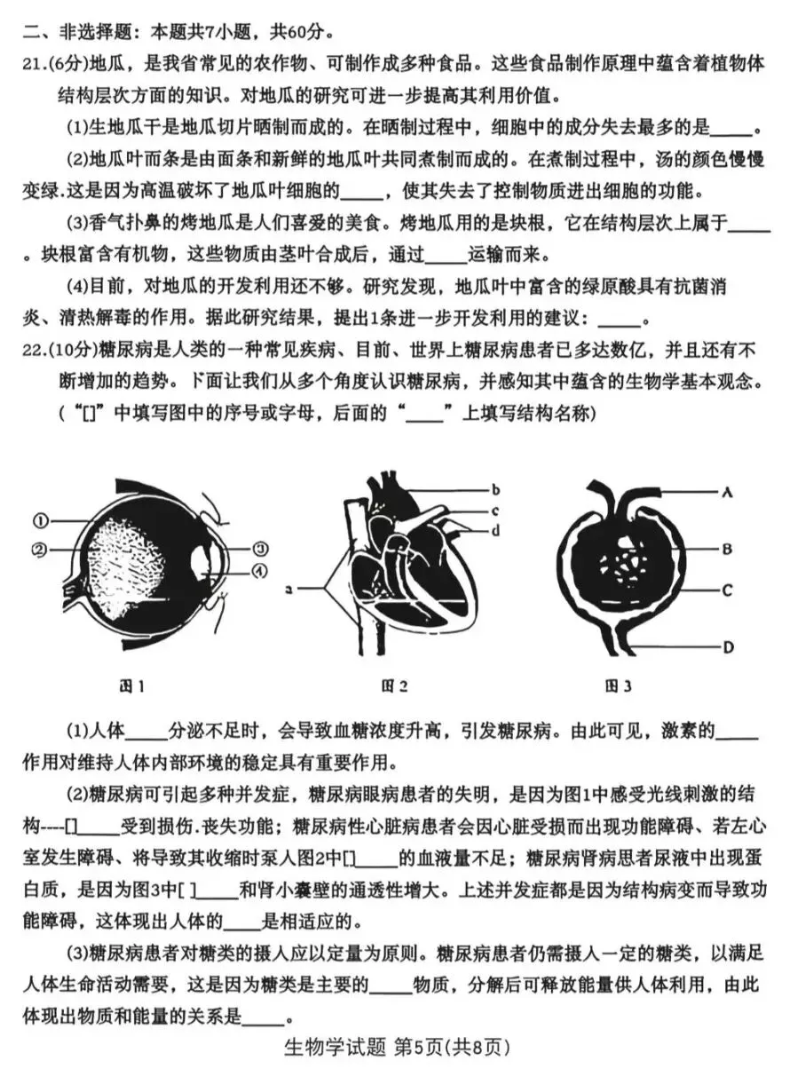 2026山东省统考生物中考真题试卷+参考答案 有pdf文档-第6张图片-四季读书网 2026山东省统考生物中考真题试卷+参考答案 有pdf文档-第6张图片-四季读书网