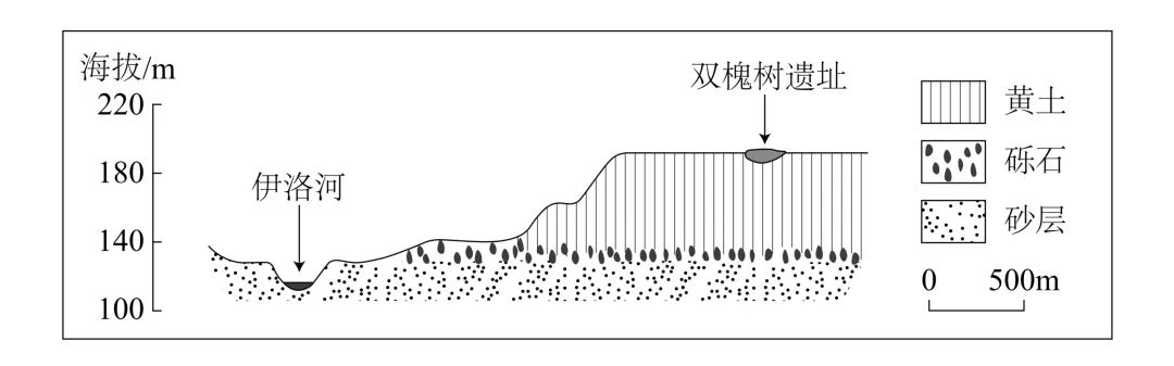 2026陕晋宁青高考地理真题高清插图-第7张图片-四季读书网 2026陕晋宁青高考地理真题高清插图-第7张图片-四季读书网