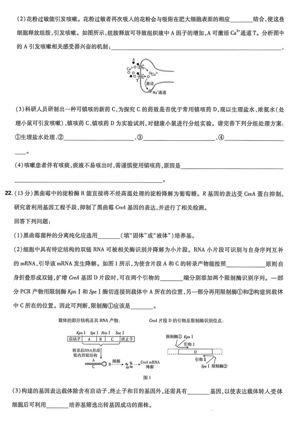 2026年河北省高考生物学真题及答案(附word下载) ⊙-第13张图片-四季读书网 2026年河北省高考生物学真题及答案(附word下载) ⊙-第13张图片-四季读书网