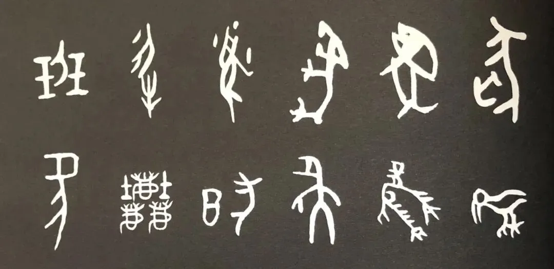 中考押题!!!补充内容!!!!-第1张图片-四季读书网