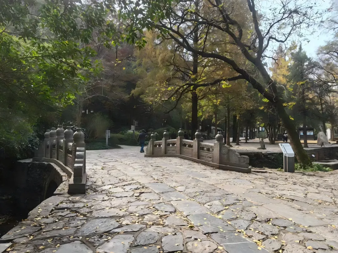 中考考前考生与家长心态调整的建议-第10张图片-四季读书网