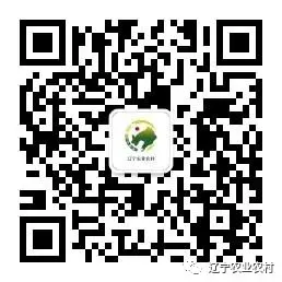 跨过这道坎儿,前面都是路——致即将奔赴中考的初三学子-第12张图片-四季读书网