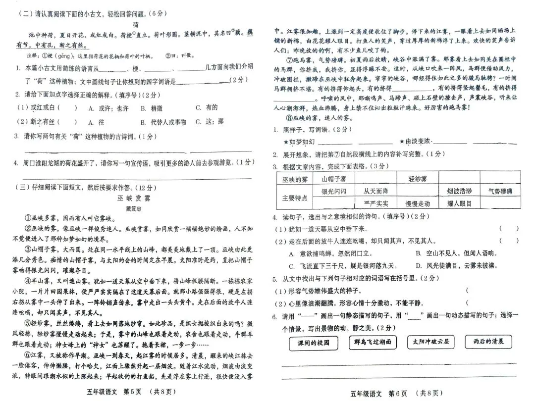 五下期末试卷两套(真题)-第6张图片-四季读书网