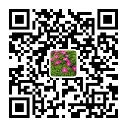 全国各省2026年中考【全科】真题答案完整版合集(持续更新中)PDF整理版可下载-第14张图片-四季读书网 全国各省2026年中考【全科】真题答案完整版合集(持续更新中)PDF整理版可下载-第14张图片-四季读书网