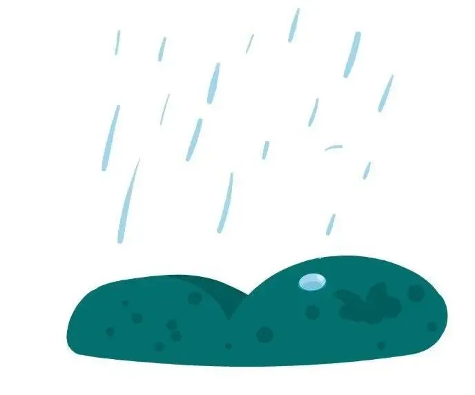 端午遇中考 阴雨常打扰-第1张图片-四季读书网 端午遇中考 阴雨常打扰-第1张图片-四季读书网