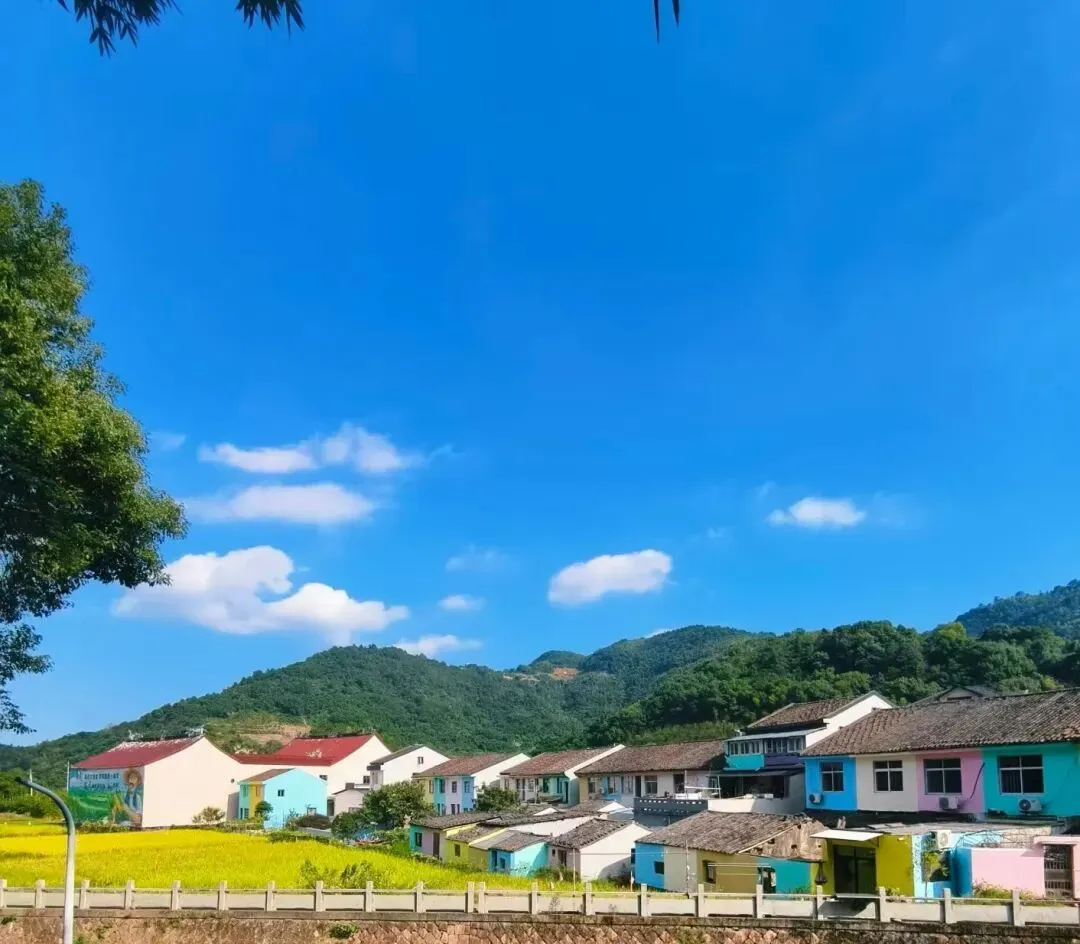 中考撞父亲节!来官岙邸答「学爸双考卷」,全村福利直接抱走-第28张图片-四季读书网