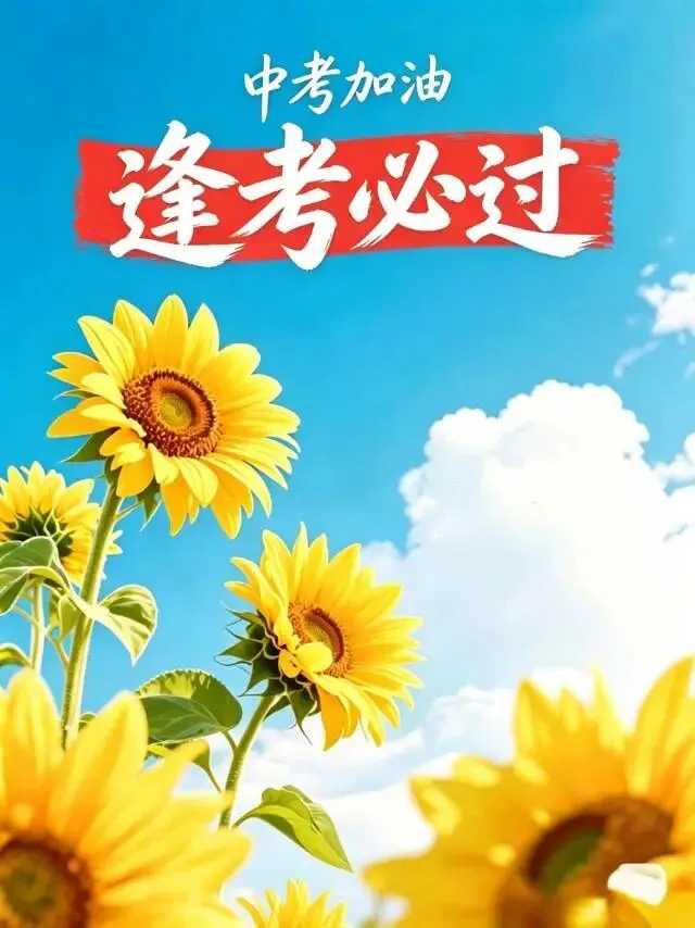 中考加油,愿少年不负努力,从容赴考-第1张图片-四季读书网 中考加油,愿少年不负努力,从容赴考-第1张图片-四季读书网