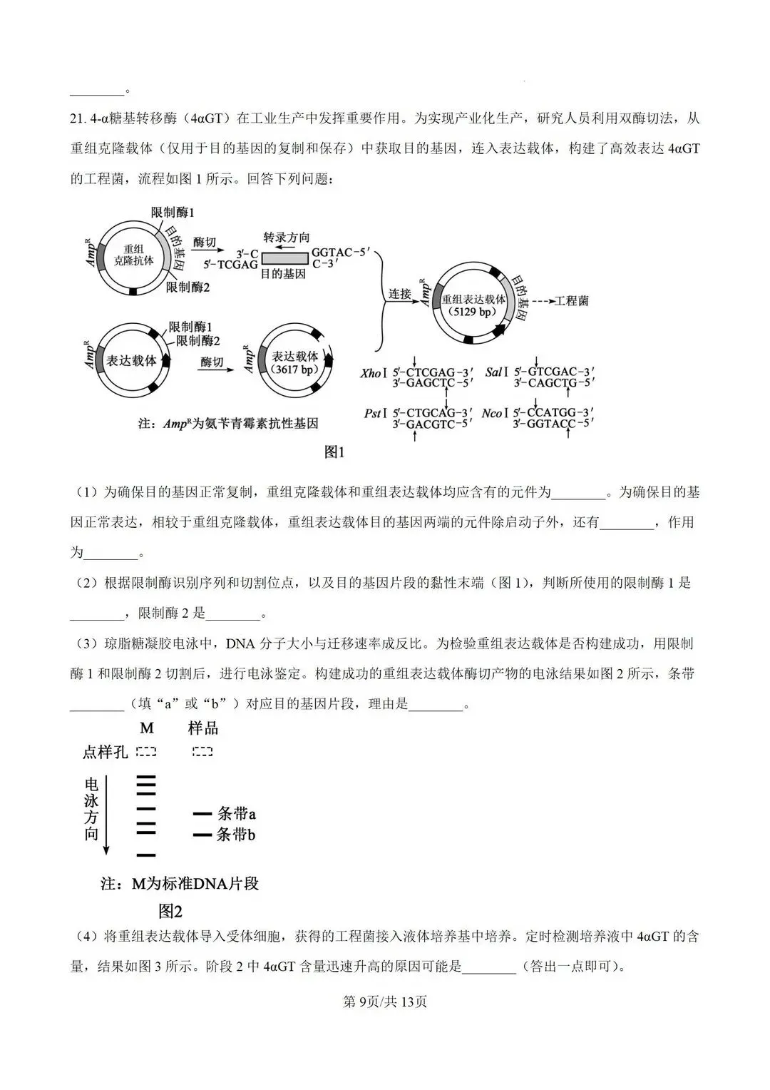 【高考真题】河南省2026年普通高中学业水平选择性考试 生物试题-第10张图片-四季读书网 【高考真题】河南省2026年普通高中学业水平选择性考试 生物试题-第10张图片-四季读书网