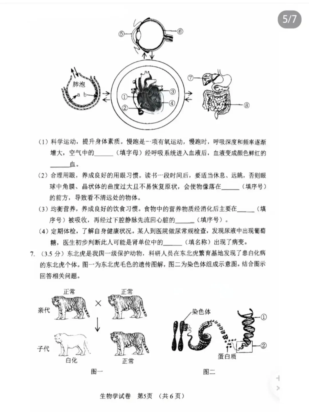 辽宁省营口市初中学业水平二模试卷 生物-第5张图片-四季读书网 辽宁省营口市初中学业水平二模试卷 生物-第5张图片-四季读书网