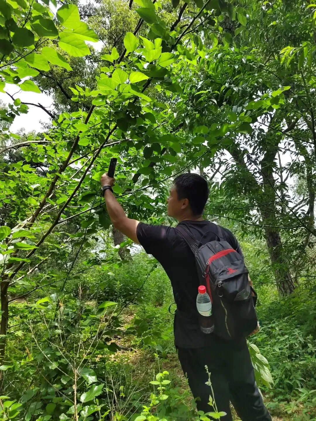 中考后的药乡之旅-第5张图片-四季读书网 中考后的药乡之旅-第5张图片-四季读书网