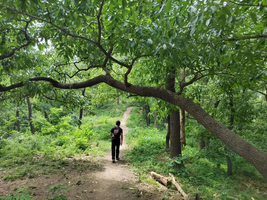 中考后的药乡之旅-第7张图片-四季读书网 中考后的药乡之旅-第7张图片-四季读书网