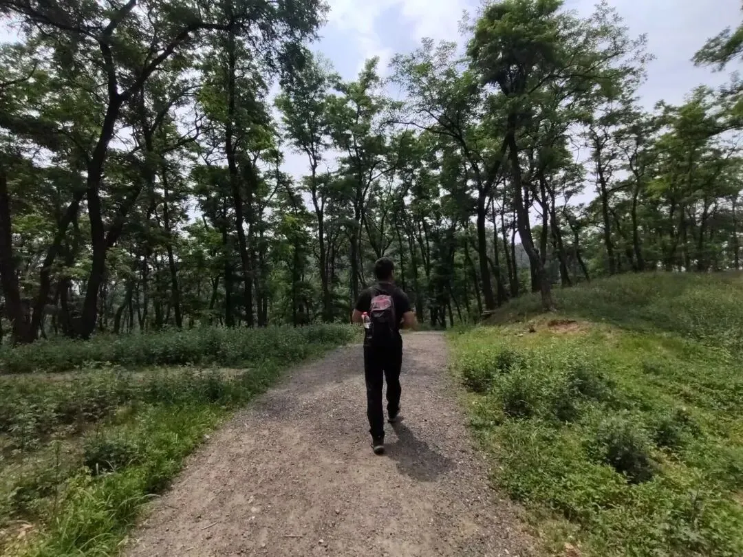 中考后的药乡之旅-第8张图片-四季读书网 中考后的药乡之旅-第8张图片-四季读书网