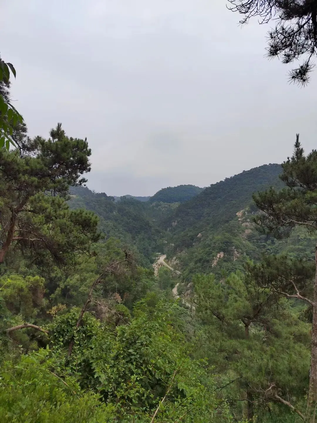 中考后的药乡之旅-第10张图片-四季读书网 中考后的药乡之旅-第10张图片-四季读书网