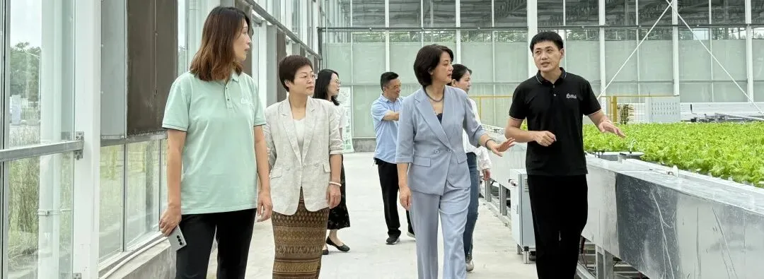 护航中考,同心筑梦,平湖农开多方聚力在行动-第18张图片-四季读书网 护航中考,同心筑梦,平湖农开多方聚力在行动-第18张图片-四季读书网