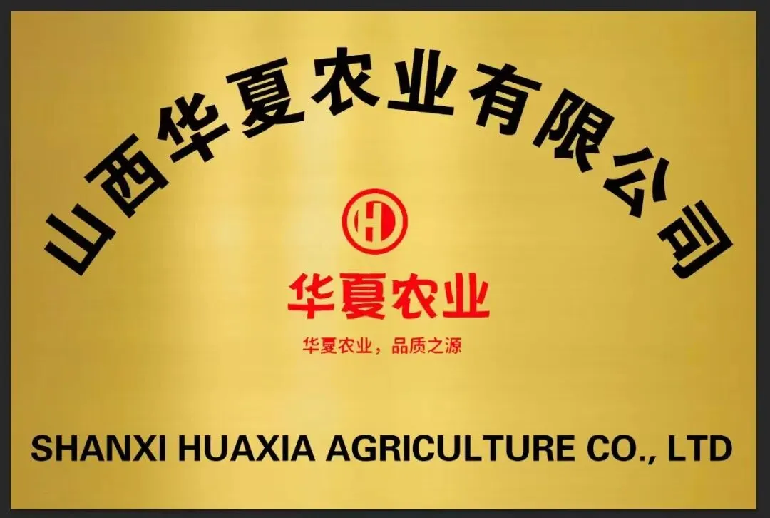 【甜五爷糯玉米】中考蓄力,一口软糯给少年满格底气-第3张图片-四季读书网 【甜五爷糯玉米】中考蓄力,一口软糯给少年满格底气-第3张图片-四季读书网