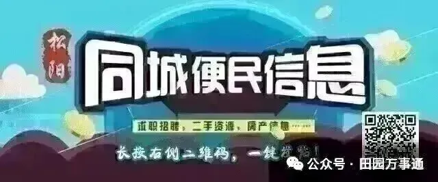 2026松阳中考今天开考,浙江作文题出炉!-第2张图片-四季读书网 2026松阳中考今天开考,浙江作文题出炉!-第2张图片-四季读书网