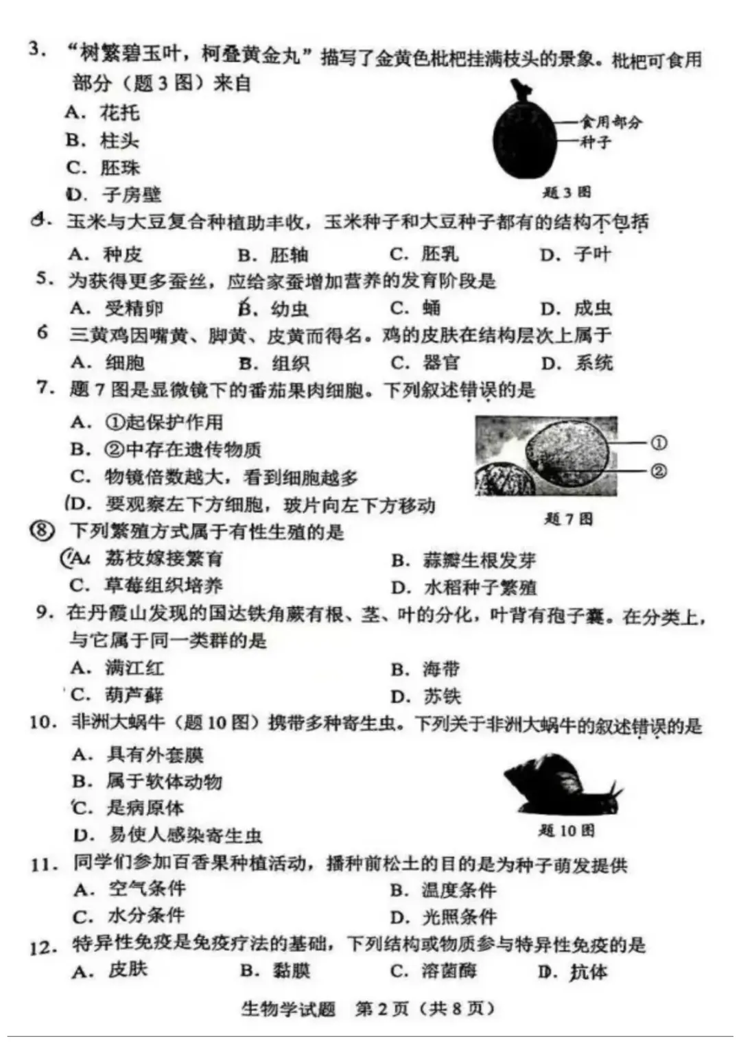 【初中会考真题】2015-2025年深圳市生地会考真题及答案分享-第5张图片-四季读书网 【初中会考真题】2015-2025年深圳市生地会考真题及答案分享-第5张图片-四季读书网