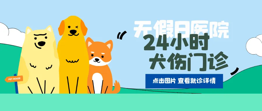 中考护航——公益护眼驻点服务上线!为考生清晰应考,守住假期视力防线-第10张图片-四季读书网 中考护航——公益护眼驻点服务上线!为考生清晰应考,守住假期视力防线-第10张图片-四季读书网
