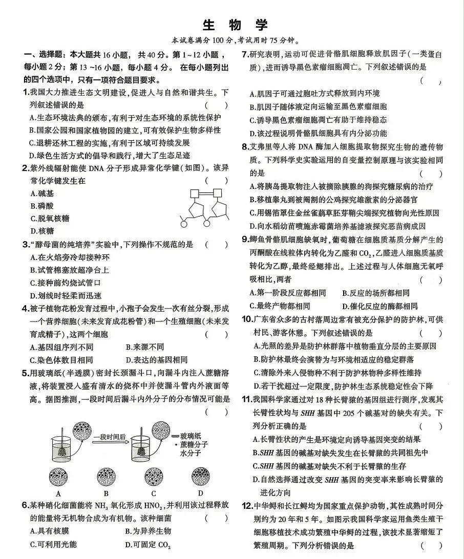2026年高考生物真题 广东卷-第1张图片-四季读书网