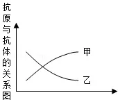 生物中考重点难点专项练习,备战26中考(一)-第4张图片-四季读书网 生物中考重点难点专项练习,备战26中考(一)-第4张图片-四季读书网