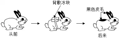 生物中考重点难点专项练习,备战26中考(一)-第6张图片-四季读书网 生物中考重点难点专项练习,备战26中考(一)-第6张图片-四季读书网