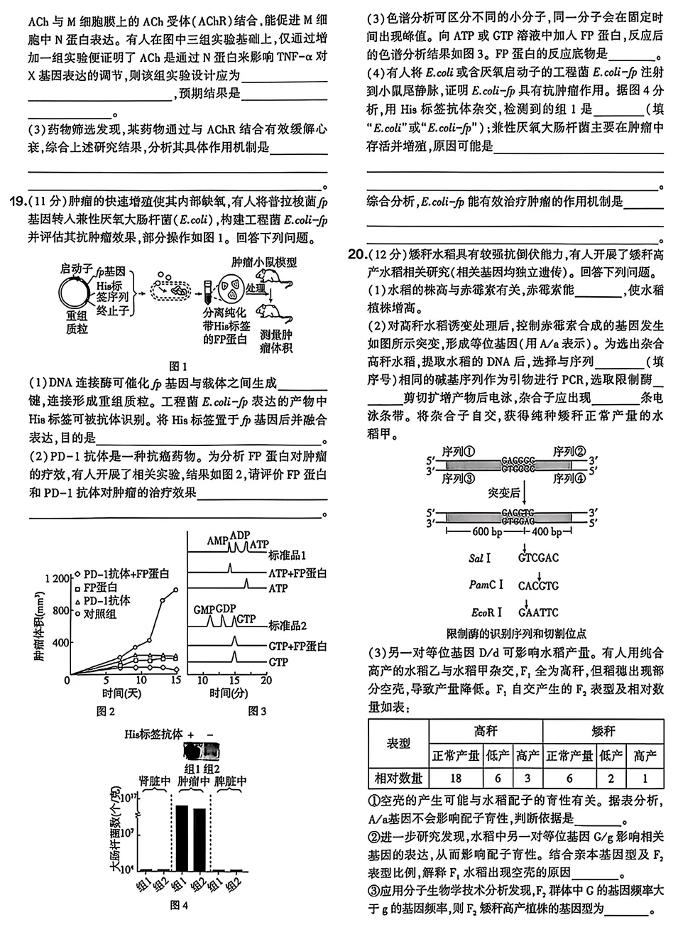 2026年四川高考生物真题试卷-第4张图片-四季读书网 2026年四川高考生物真题试卷-第4张图片-四季读书网