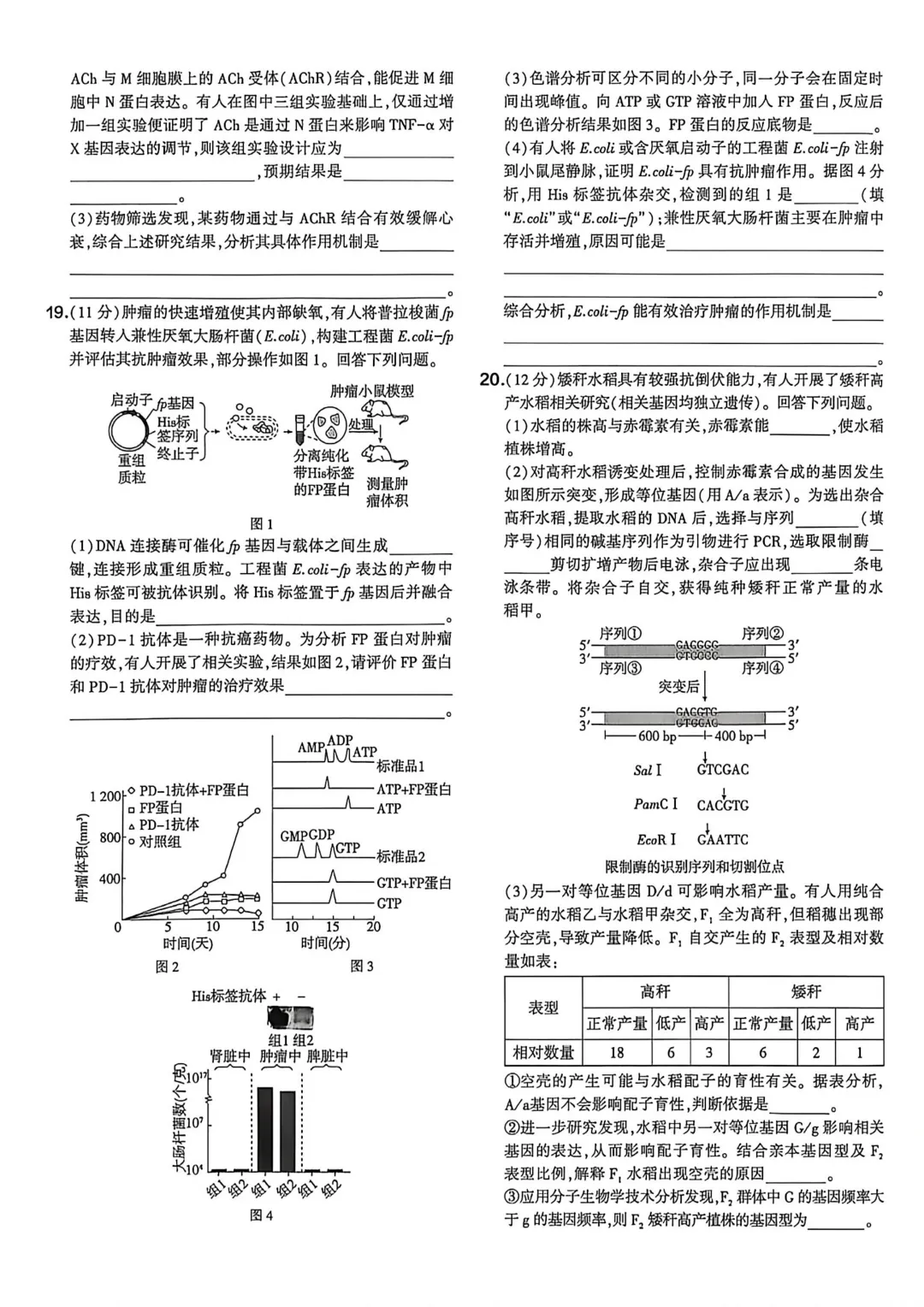【高考真题】2026四川省高考试题生物学-第4张图片-四季读书网