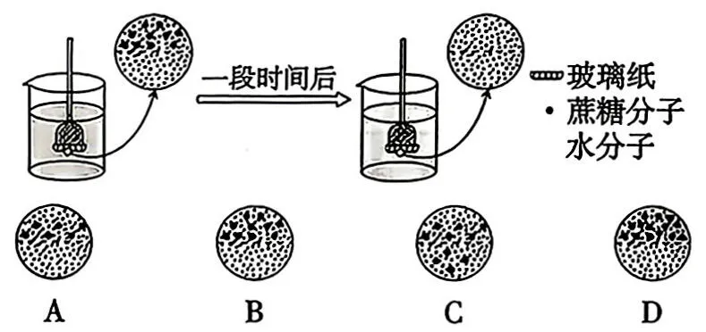 [ 高考真题 ] 2026年广东高中学业水平考试生物学试题(word版,网络版,仅供参考学习)-第4张图片-四季读书网