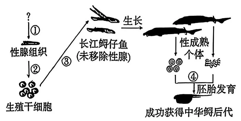 [ 高考真题 ] 2026年广东高中学业水平考试生物学试题(word版,网络版,仅供参考学习)-第5张图片-四季读书网