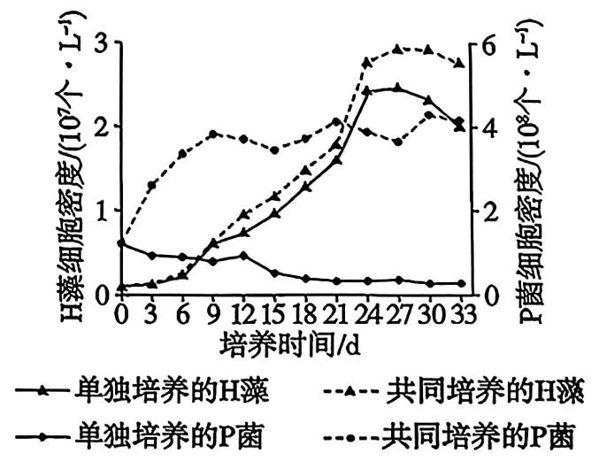 [ 高考真题 ] 2026年广东高中学业水平考试生物学试题(word版,网络版,仅供参考学习)-第6张图片-四季读书网