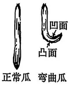 [ 高考真题 ] 2026年广东高中学业水平考试生物学试题(word版,网络版,仅供参考学习)-第7张图片-四季读书网