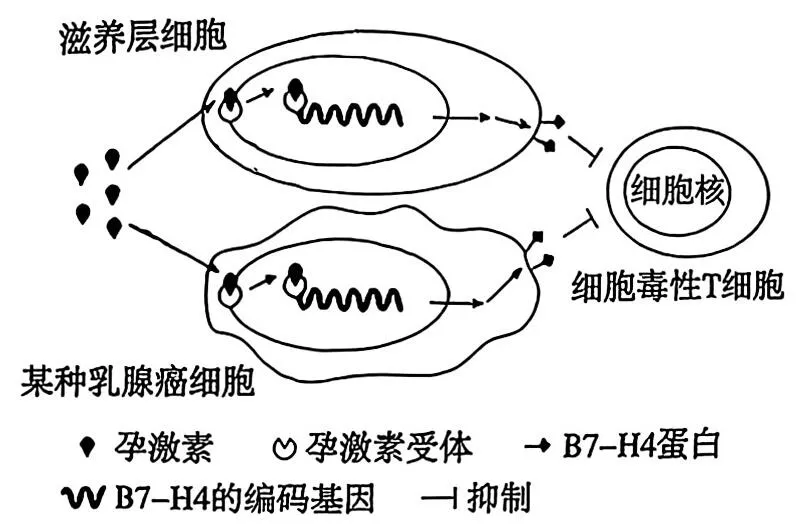 [ 高考真题 ] 2026年广东高中学业水平考试生物学试题(word版,网络版,仅供参考学习)-第8张图片-四季读书网