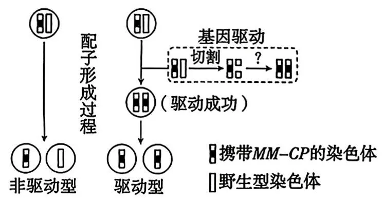 [ 高考真题 ] 2026年广东高中学业水平考试生物学试题(word版,网络版,仅供参考学习)-第13张图片-四季读书网