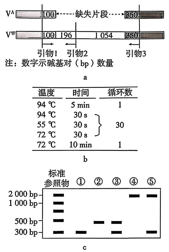 [ 高考真题 ] 2026年广东高中学业水平考试生物学试题(word版,网络版,仅供参考学习)-第14张图片-四季读书网