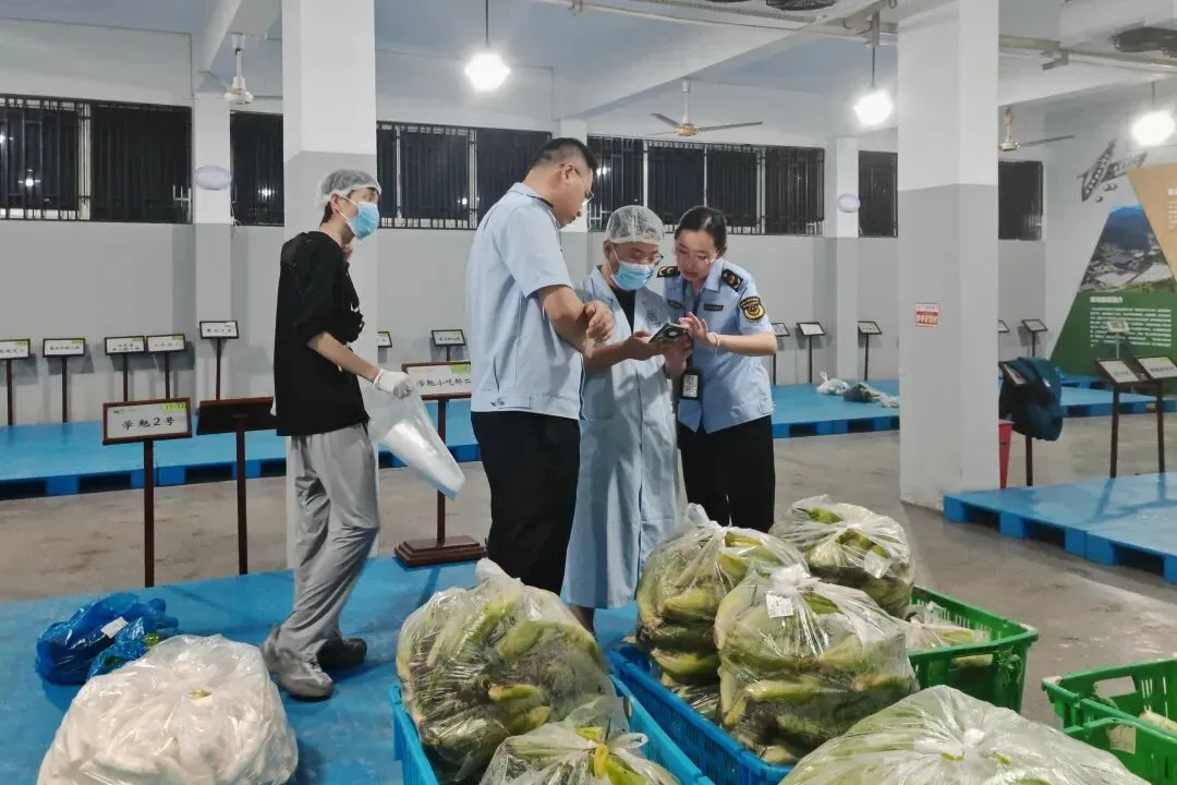 浙江中考平稳开考,58万余名考生从容应考-第12张图片-四季读书网 浙江中考平稳开考,58万余名考生从容应考-第12张图片-四季读书网