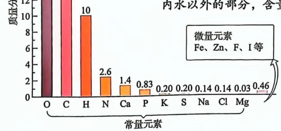 中考化学复习-教材目录-第51张图片-四季读书网 中考化学复习-教材目录-第51张图片-四季读书网