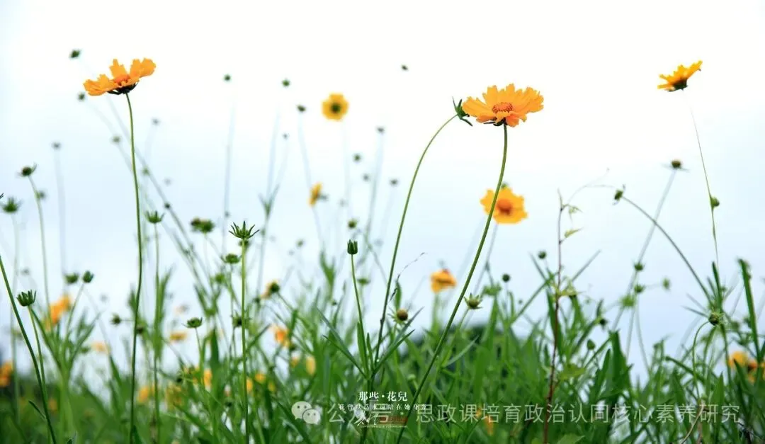 2026年安徽中考道德与法治试卷分析-第1张图片-四季读书网