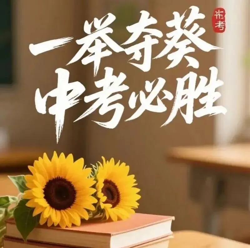 中考开始8天 本号接连报捷-第4张图片-四季读书网 中考开始8天 本号接连报捷-第4张图片-四季读书网