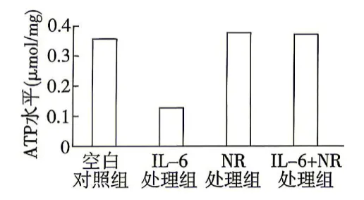 【真题】2026年贵州省普通高中学业水平选择性考试生物学试题-第6张图片-四季读书网