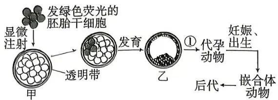 【真题】2026年贵州省普通高中学业水平选择性考试生物学试题-第5张图片-四季读书网