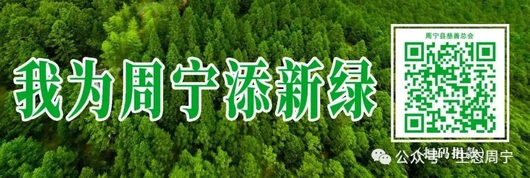 中考期间是否下雨?来看周宁县未来三天天气→-第1张图片-四季读书网