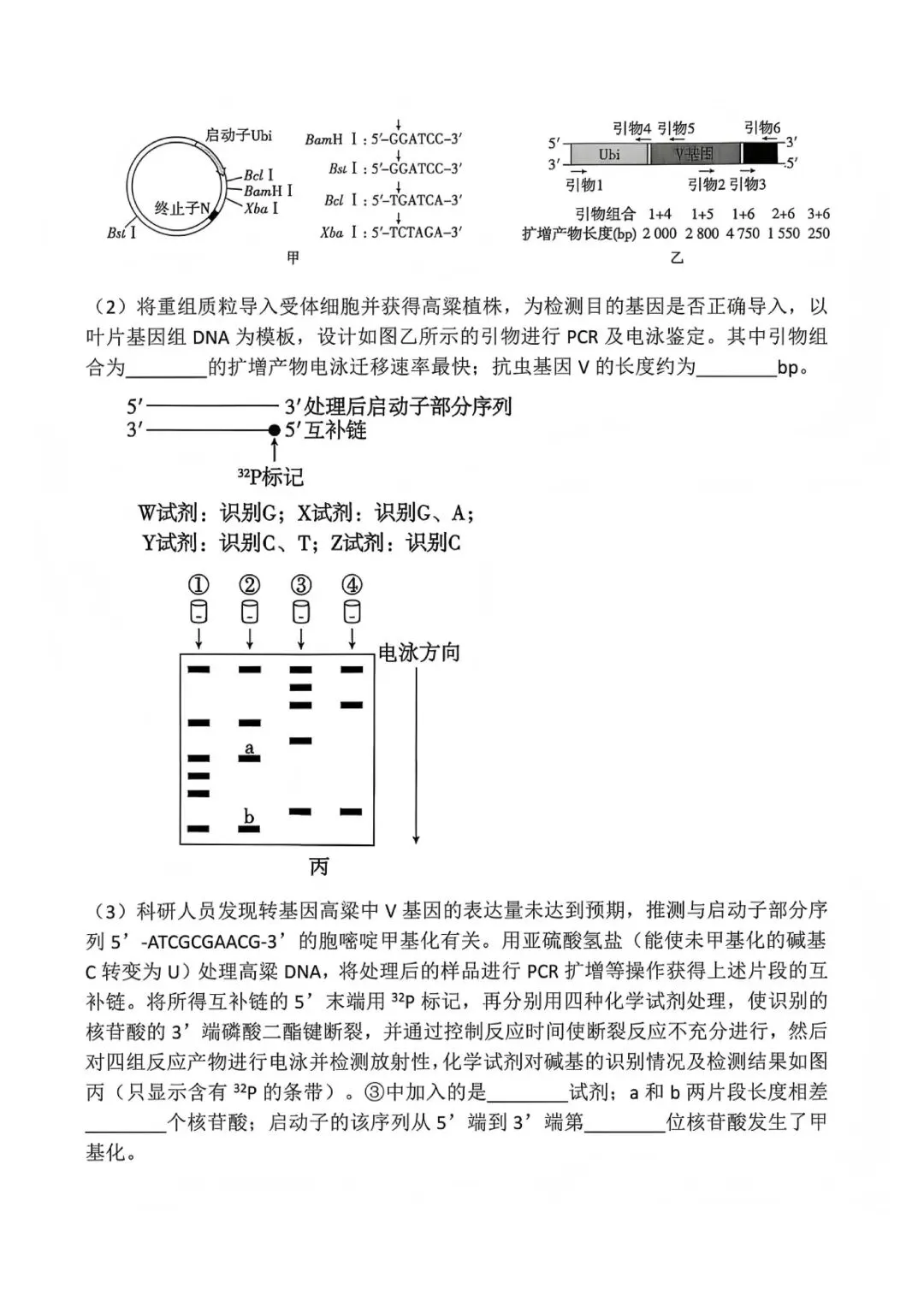 2026贵州省高考生物试卷版-第7张图片-四季读书网