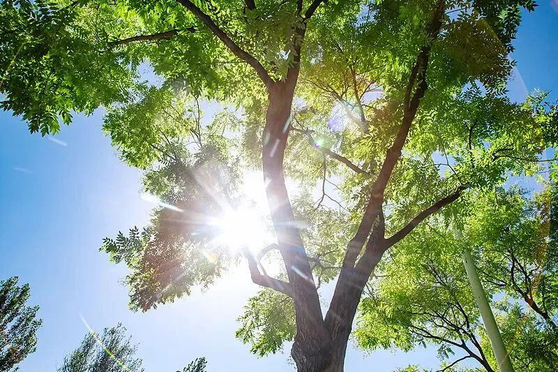 今日中考!愿湄园教职工的孩子们每天都充满热烈与希望……-第6张图片-四季读书网