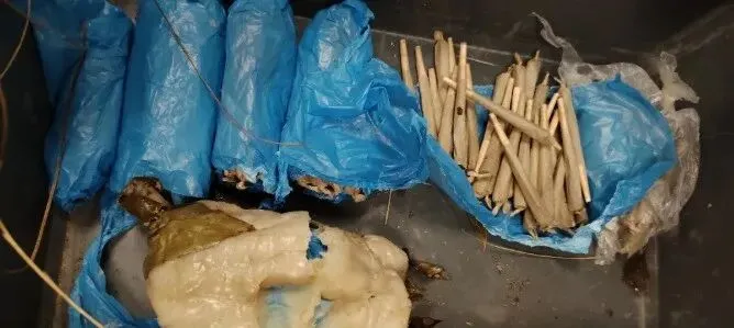 2026河南中考物品携带指南!附中考具体时间安排→-第8张图片-四季读书网 2026河南中考物品携带指南!附中考具体时间安排→-第8张图片-四季读书网