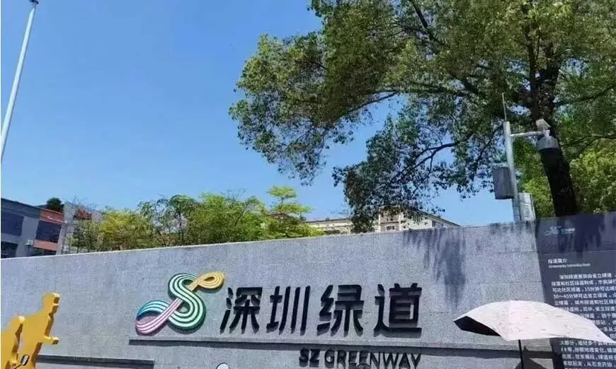 深圳深才中考复读招生报名-深圳中考复读-第3张图片-四季读书网 深圳深才中考复读招生报名-深圳中考复读-第3张图片-四季读书网