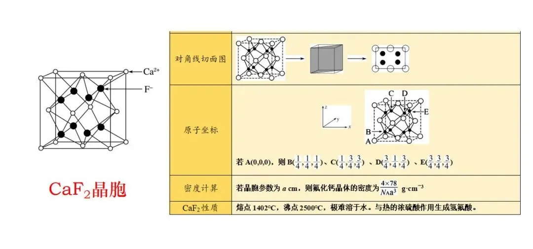 析真题·建模型·明方向——2026云南高考化学第11题解析与晶体备考策略——昆明市第六届高中化学孙应伦名师工作室简讯(第24期)-第19张图片-四季读书网 析真题·建模型·明方向——2026云南高考化学第11题解析与晶体备考策略——昆明市第六届高中化学孙应伦名师工作室简讯(第24期)-第19张图片-四季读书网