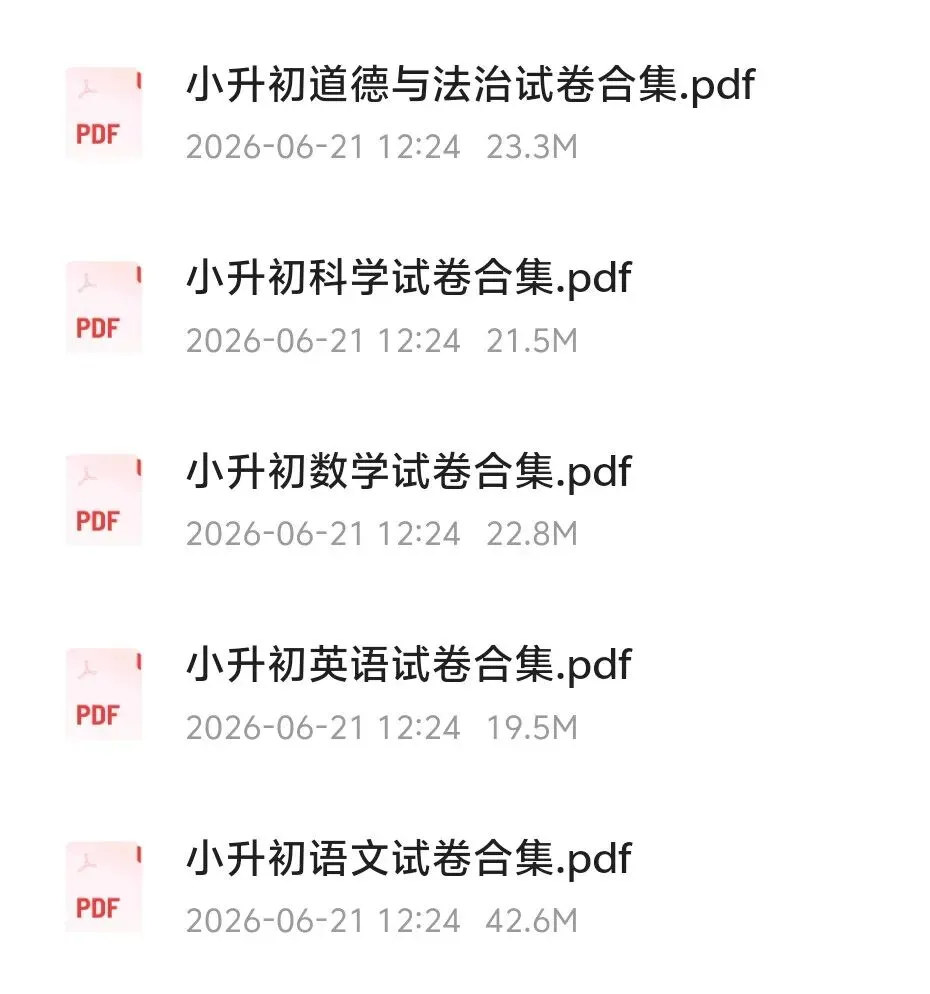 26春小升初五科全套试卷合集!语数英科道法真题直接领-第8张图片-四季读书网 26春小升初五科全套试卷合集!语数英科道法真题直接领-第8张图片-四季读书网
